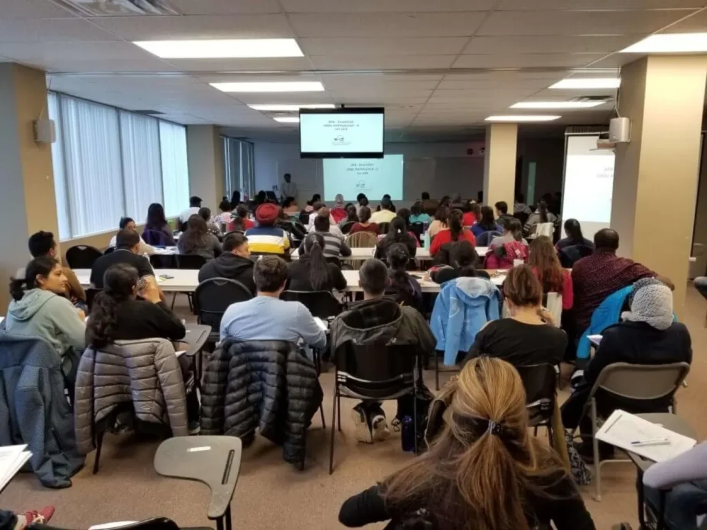 Preparatory Course for the OSCE (Objective Structured Clinical Examination)